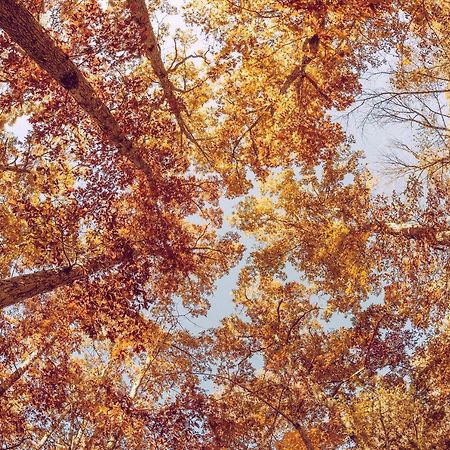 ナルド The Aia Bed & Breakfast エクステリア 写真